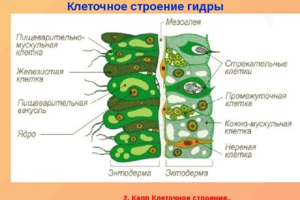 Как восстановить кракен