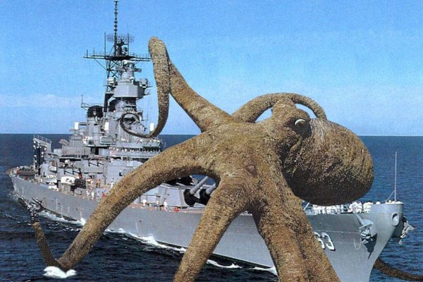 Kraken рабочее зеркало