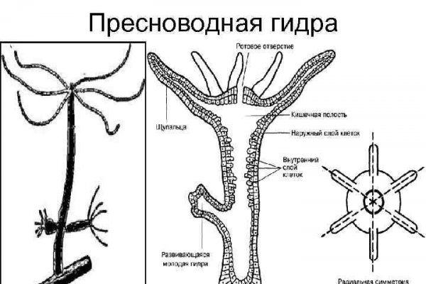 Кракен современный даркнет маркетплейс