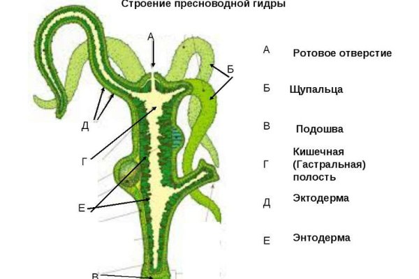 Кракен картель